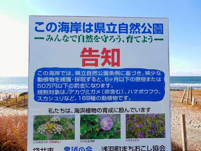 ]ԂŖʑ