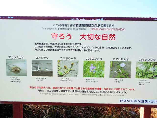 ]ԂŖʑ