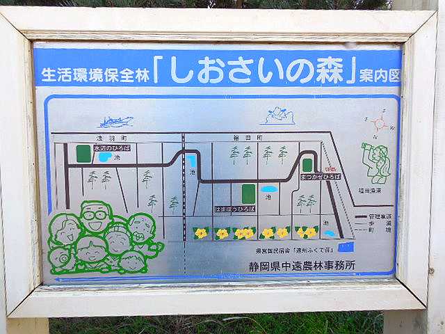 ]ԂŖʑ